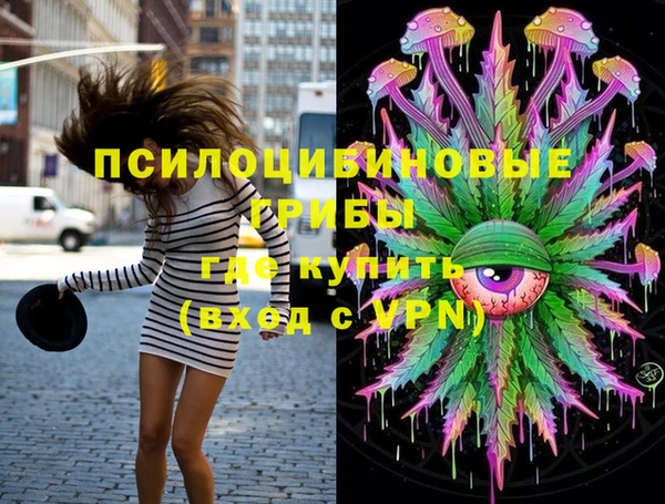 шишки Алзамай