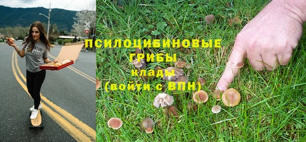 шишки Алзамай