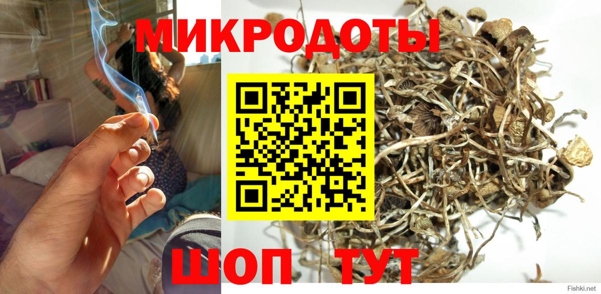 Галлюциногенные грибы мицелий Белгород