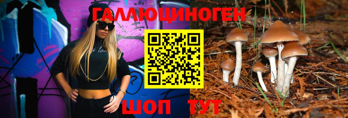 Белгород  Галлюциногенные грибы GOLDEN TEACHER  Псилоцибиновые грибы прущие грибы  Вход с VPN 